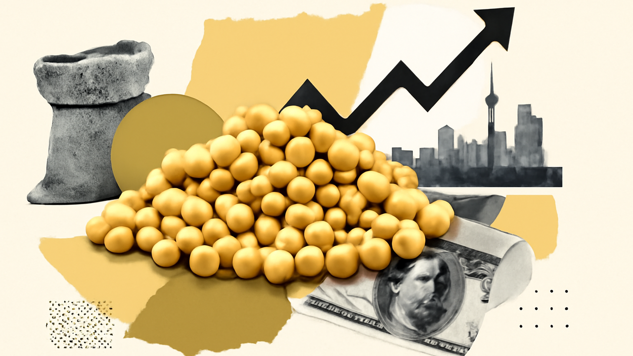 قیمت سویا در بازار جهانی به بالاترین سطح هفته‌های اخیر رسید
