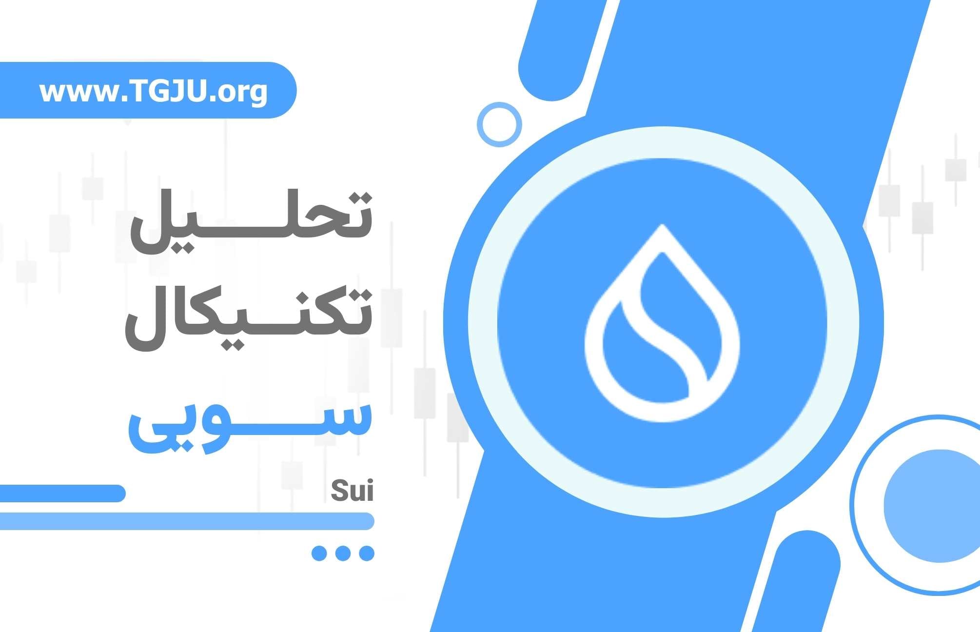 از DeepBook تا سرمایه نهادی، داستان تازه صعود سویی