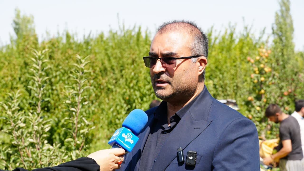 مدیریت عرضه مرحلهای سیب درختی توسط باغداران؛ راهکار اصلی تثبیت قیمت و کاهش ضایعات