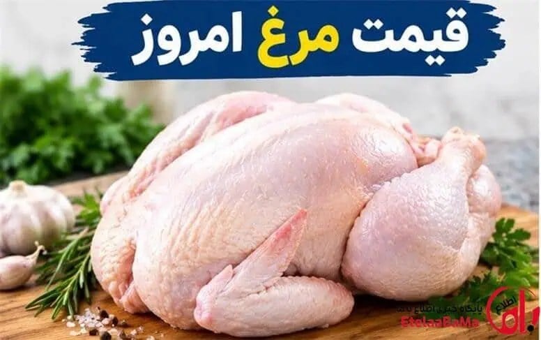 قیمت مرغ امروز؛ مرغ کامل ۳۰۰ هزار تومان شد؟ جدول قیمت قطعات مرغ
