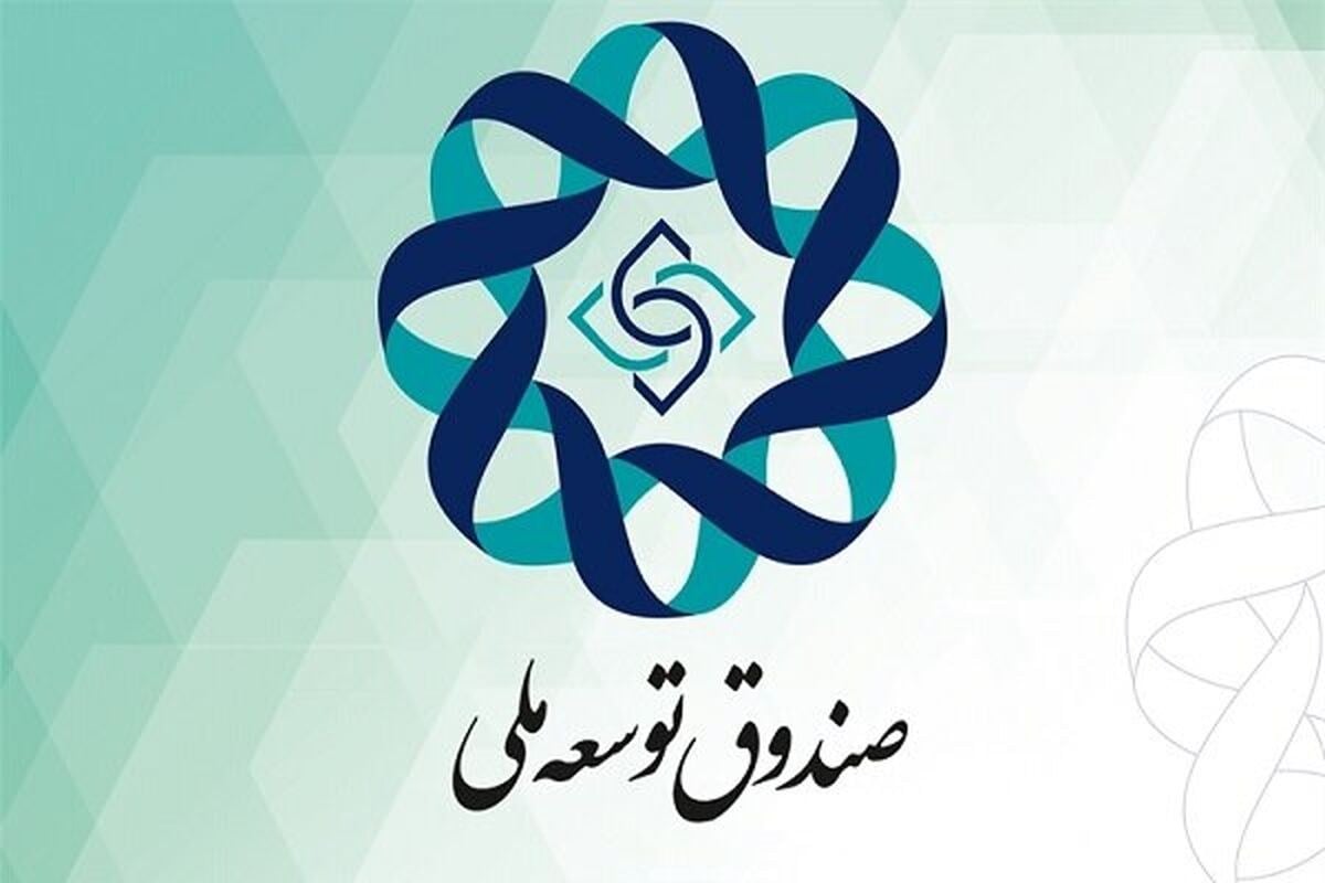 سرمایه بخش صنعت و معدن از صندوق توسعه ملی تامین شد