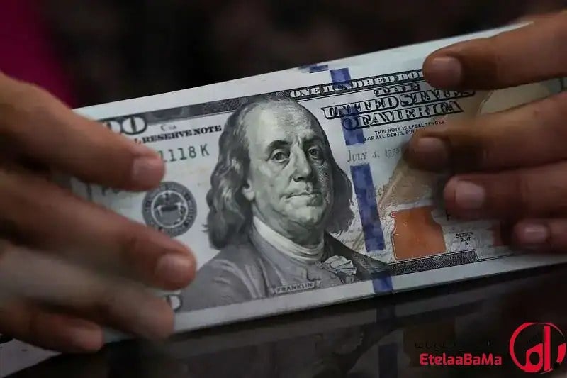 دلار دولتی با کارت ملی چقدر سود دارد؟ چرا فقط ۴ درصد از عرضه بانک مرکزی فروش رفت؟