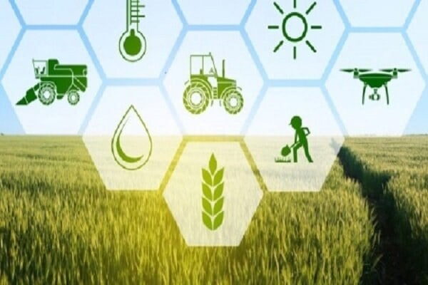 صیانت از امنیت غذایی با بیمه اراضی کشاورزی تضمین میشود