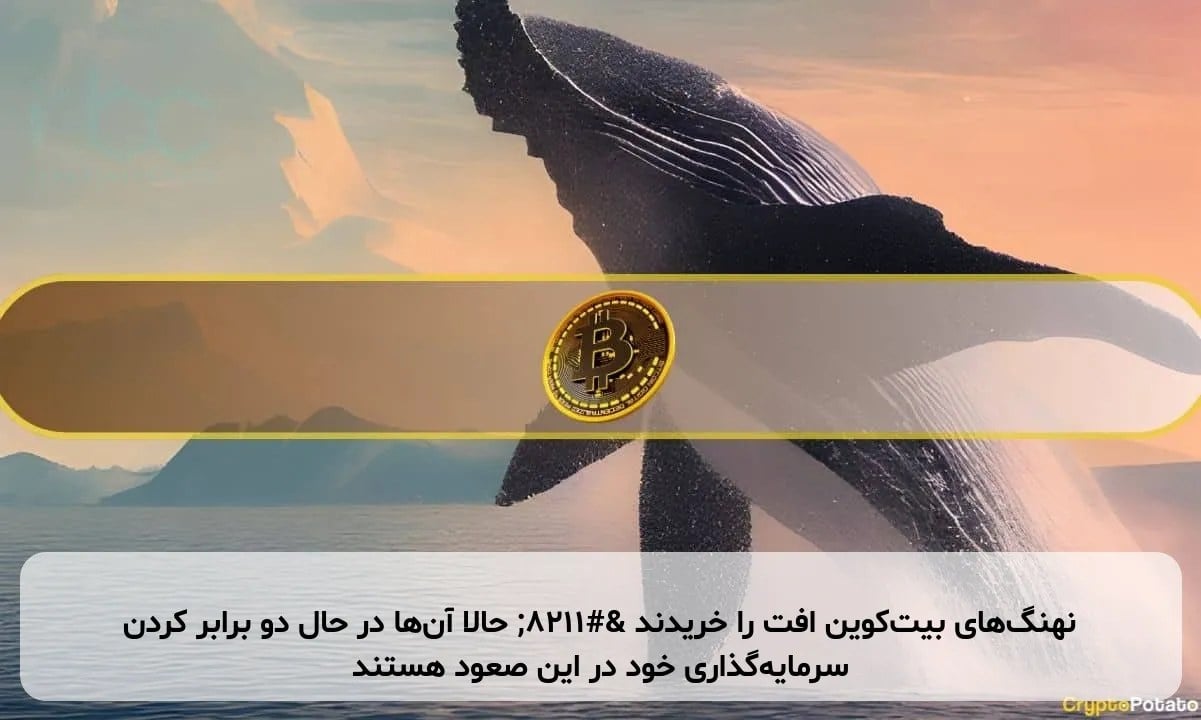 نهنگهای بیتکوین افت را خریدند – حالا آنها در حال دو برابر کردن سرمایهگذاری خود در این صعود هستند