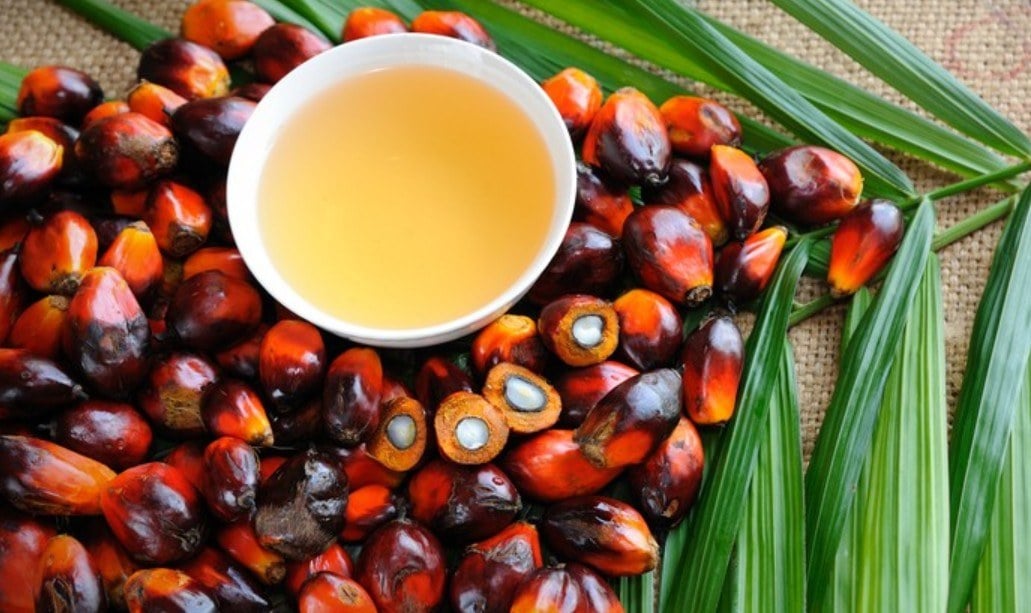 سقوط قیمت آتی روغن پالم مالزی به کمترین سطح ۶ هفته اخیر