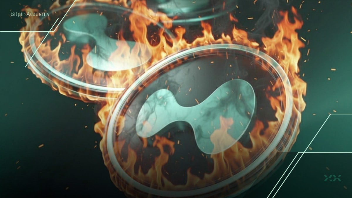 توکنسوزی سنگین HYPE در یک قدمی سقف تاریخی