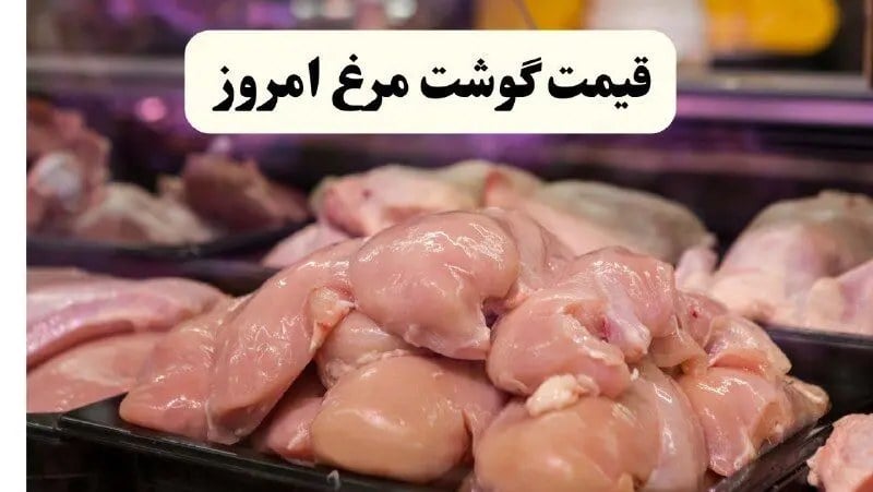 قیمت فیله مرغ | قیمت ران مرغ | قیمت پای مرغ | قیمت مرغ امروز پنجشنبه ۱۹ شهریور + جدول