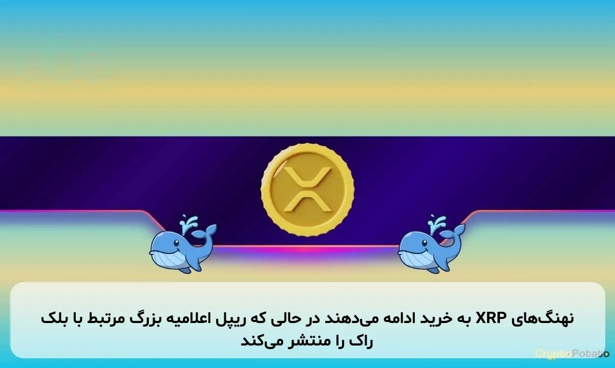 نهنگهای XRP به خرید ادامه میدهند در حالی که ریپل اعلامیه بزرگ مرتبط با بلک راک را منتشر میکند