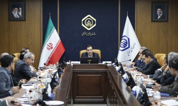 تامین اجتماعی به دنبال تنوع بخشی به چتر بیمه ای برای پوشش اقشار مختلف