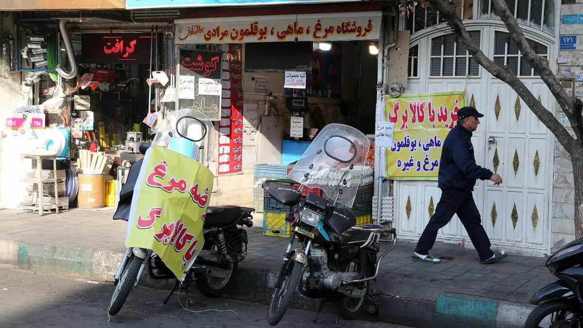 کالابرگ چقدر از سفره را پر می‌کند؟