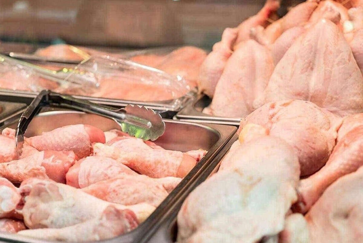 ابلاغ قیمت جدید مرغ/هرکیلو مرغ زنده چند؟