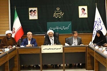 عملکرد ۱۶ درصدی قانون جوانی جمعیت در اصفهان