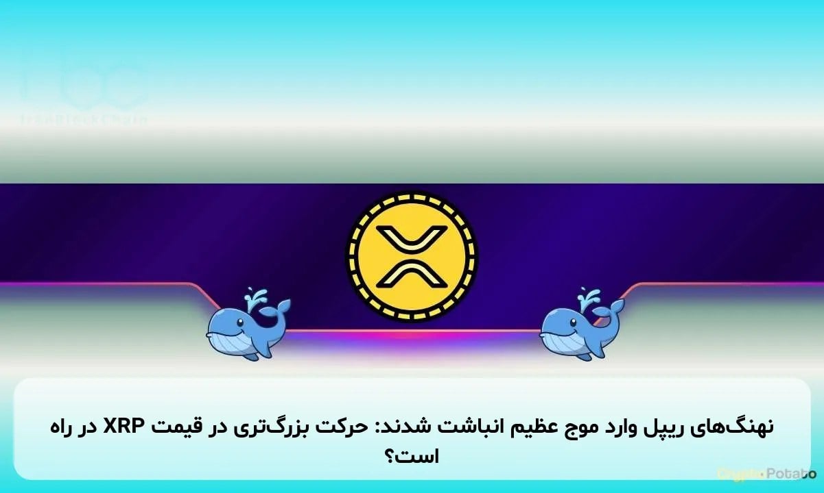 نهنگهای ریپل وارد موج عظیم انباشت شدند: حرکت بزرگتری در قیمت XRP در راه است؟