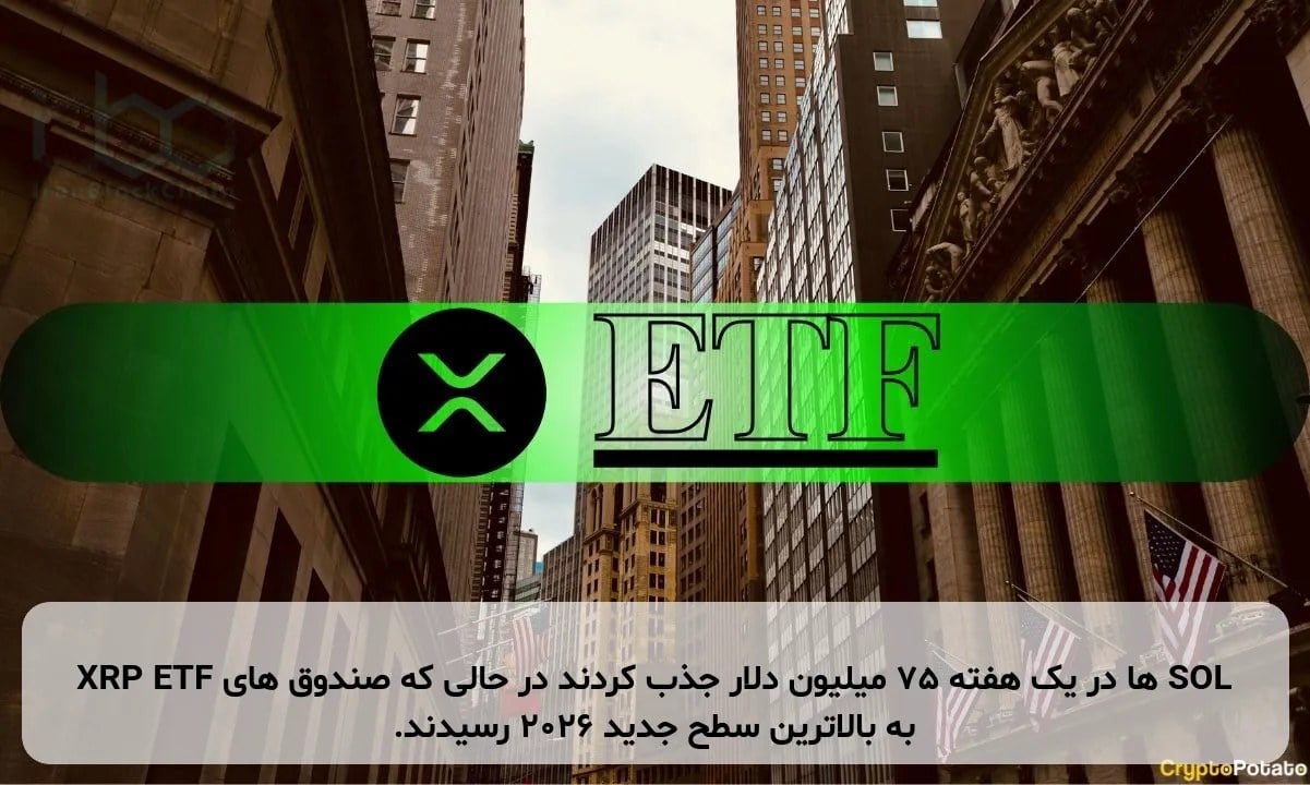 XRP ETF ها در یک هفته 75 میلیون دلار جذب کردند در حالی که صندوق های SOL به بالاترین سطح جدید 2026 رسیدند.