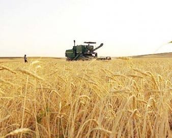 پوشش بیمهای اراضی کشاورزی خوزستان در پنج سال ۲ برابر شد