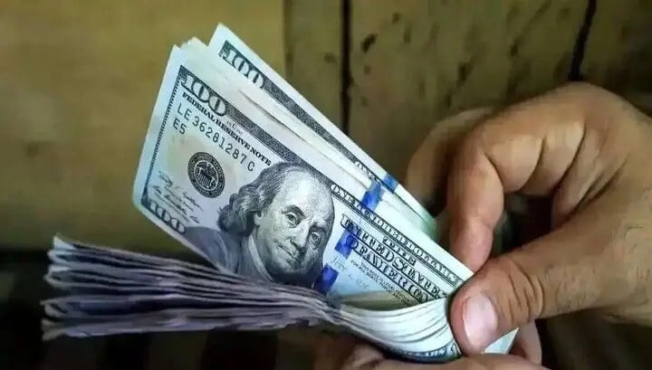 هشدار رئیس سابق بانک مرکزی: اگر عرضه ارز متوقف شود، شوک بزرگتری به بازار وارد میشود