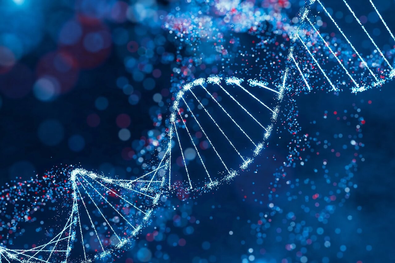 مصرف ۳۰ درصد کالری کمتر، جهشهای DNA را در موشها کاهش داد