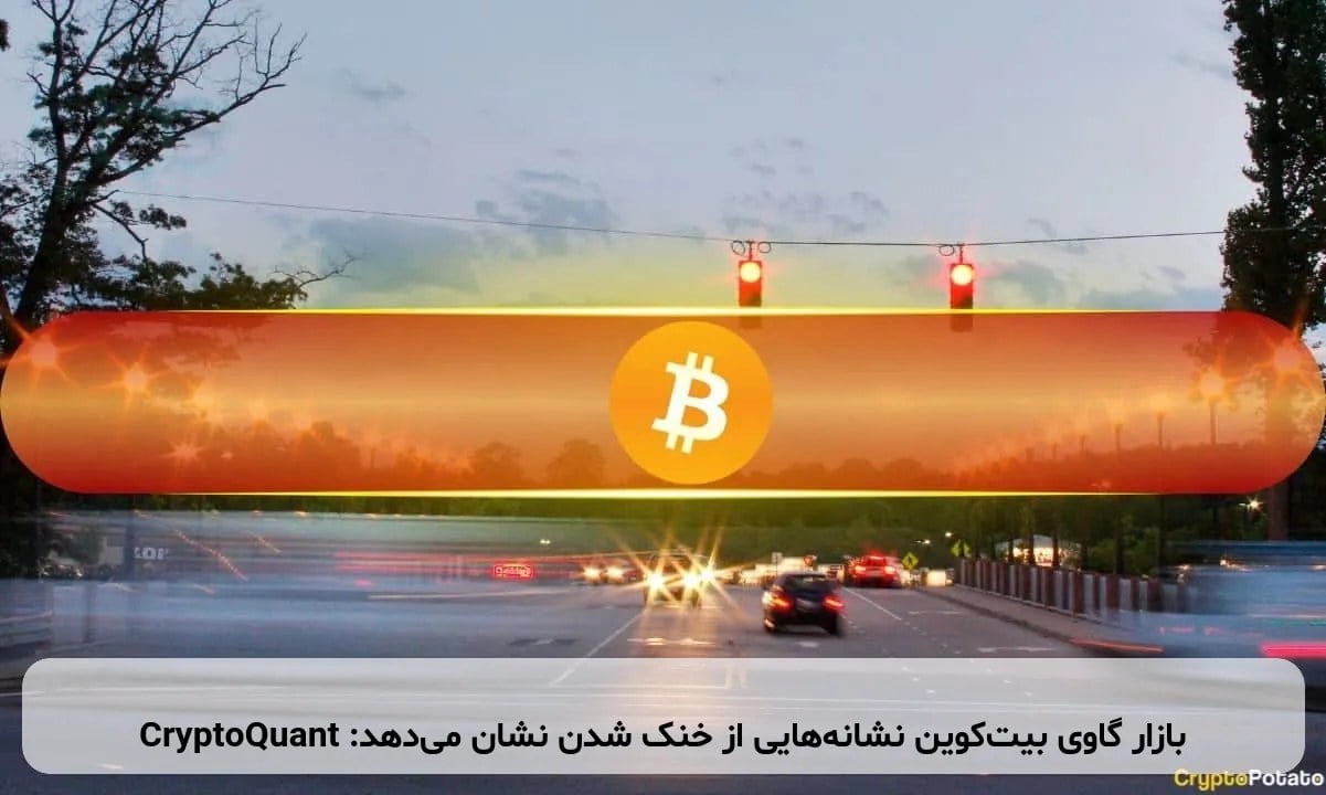 بازار گاوی بیتکوین نشانههایی از خنک شدن نشان میدهد: CryptoQuant