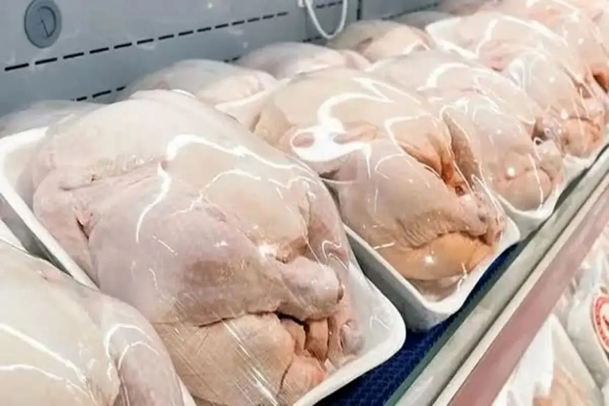 مرغ تازه کیلویی ۲۵۰ هزار تومان