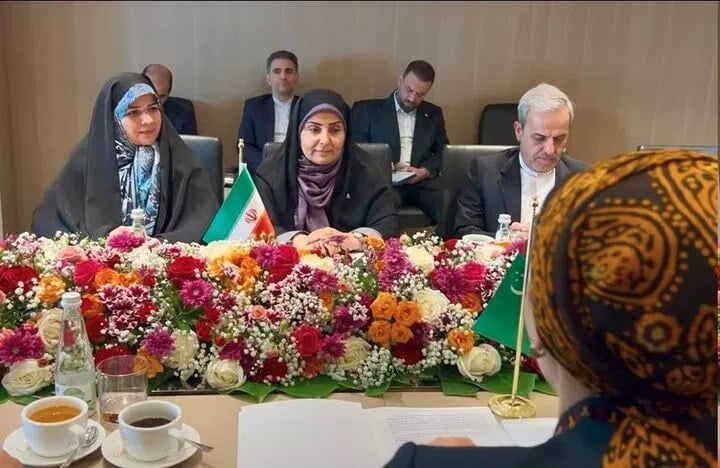 تاکید نماینده مجلس بر نقش راهبردی زنان در صلح و توسعه پایدار