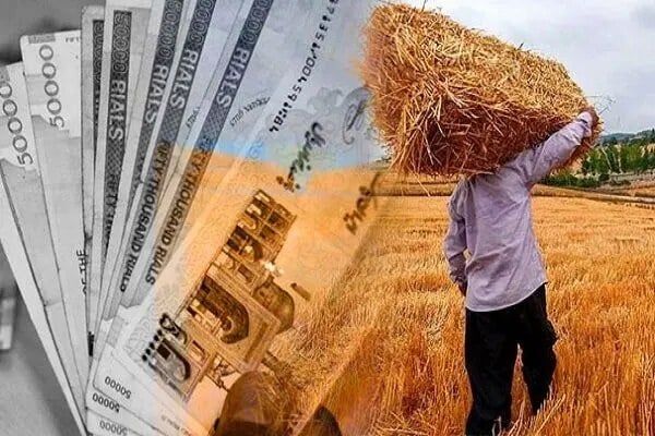 قیمت خرید تضمینی گندم مشخص شد؟