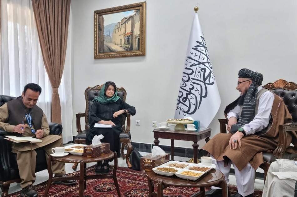 دیکارلو و معین وزارت شهرسازی درباره مسکن و بازگشت مهاجرین گفتگو کردند