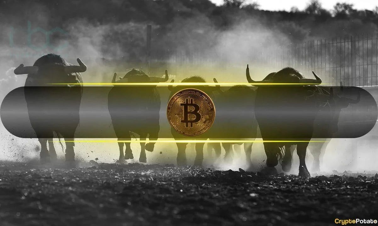 تحلیلگران بیتکوین اکنون نسبت به آغاز بازار صعودی 2023 خوشبینتر هستند: CryptoQuant
