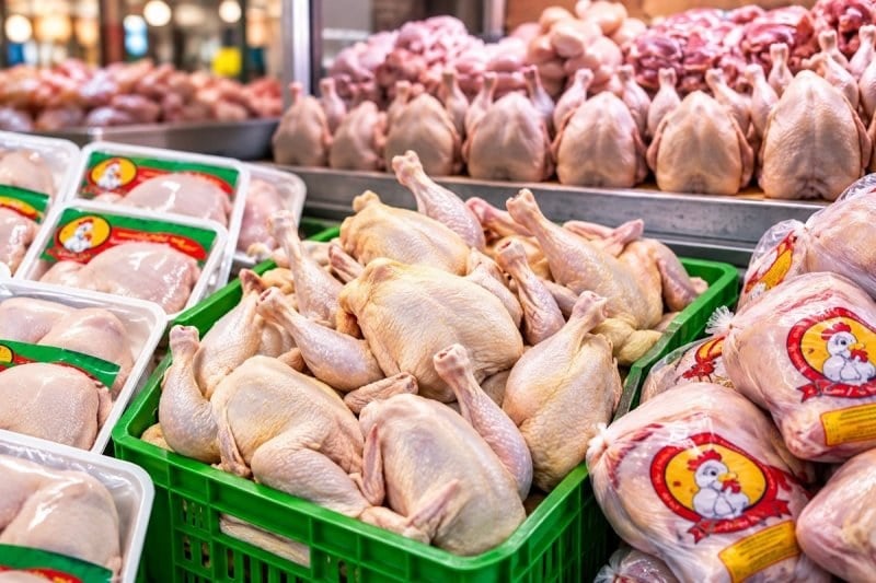 پرواز قیمت مرغ / چرا مرغ گران شد؟
