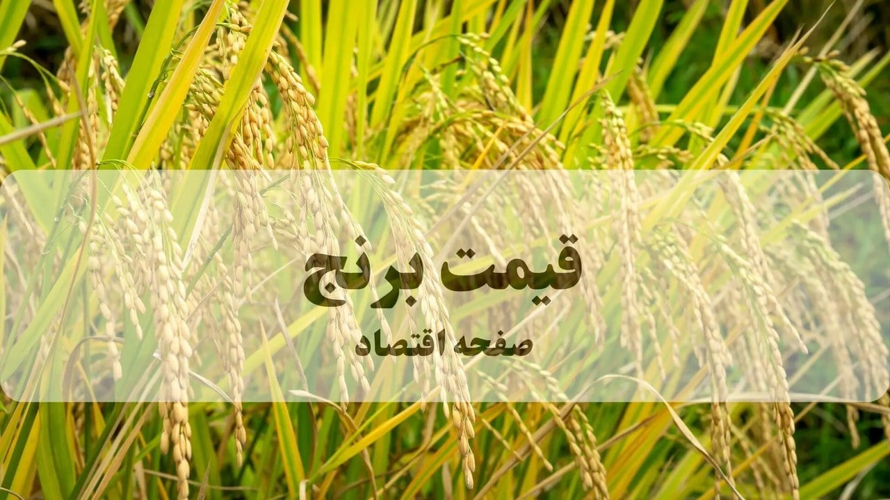 قیمت جدید انواع برنج هندی امروز پنجشنبه ۳۰ مهر