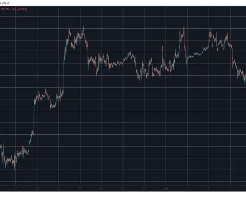 NEAR راکتها روزانه 10% افزایش مییابند، قیمت BTC به 83 هزار دلار نگاه میکند: نظارت بر آخر هفته