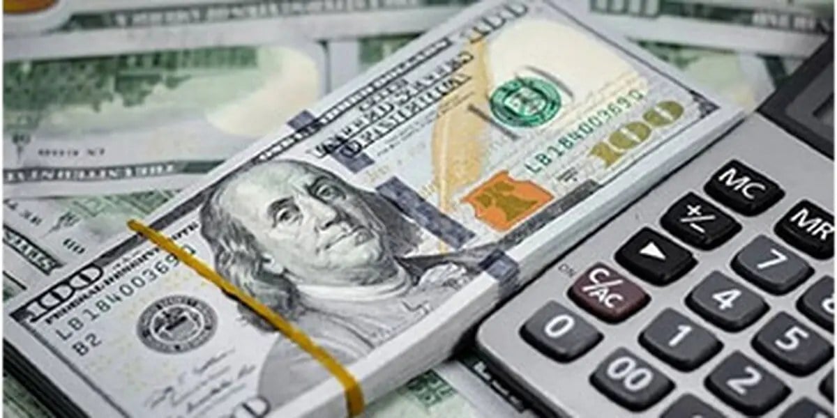 آغاز فروش ارز تا سقف 10هزار دلار در شعب منتخب بانک ملت در سراسر کشور