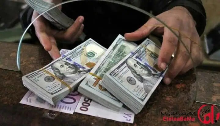 قیمت دلار در محدوده حباب؛ هشدار به خریداران در اوج بازار ارز