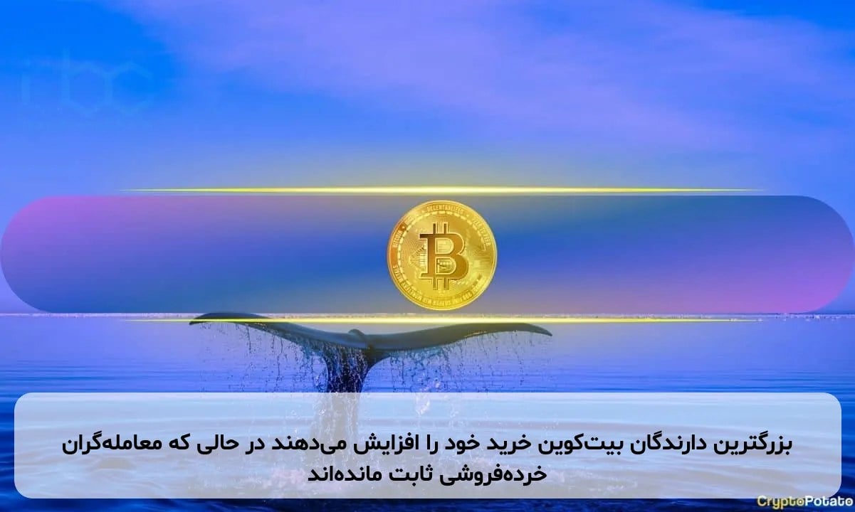 بزرگترین دارندگان بیتکوین خرید خود را افزایش میدهند در حالی که معاملهگران خردهفروشی ثابت ماندهاند