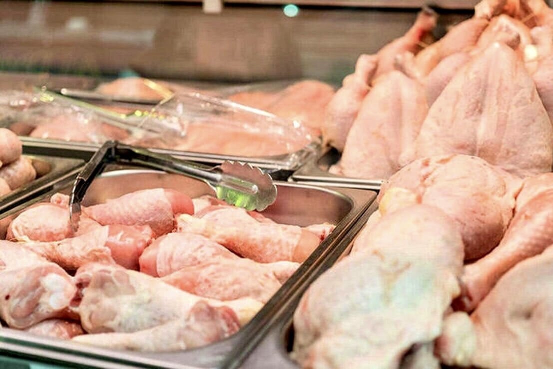 قیمت مرغ باز هم باید افزایش یابد؛ مرغداران بیش از ۶۰ همت زیان دیدهاند