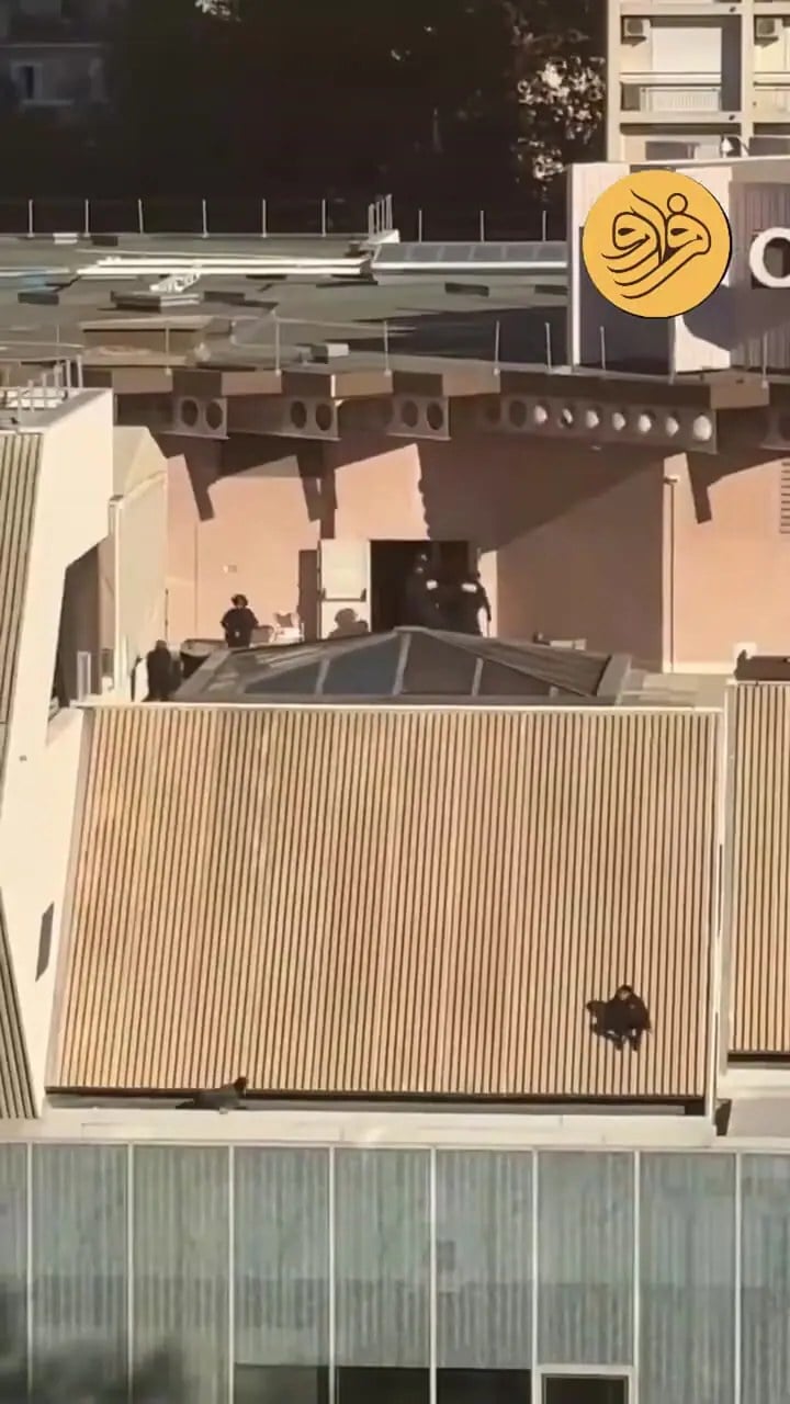 فرار وحشتناک از بام مرکز تجاری مارسی
