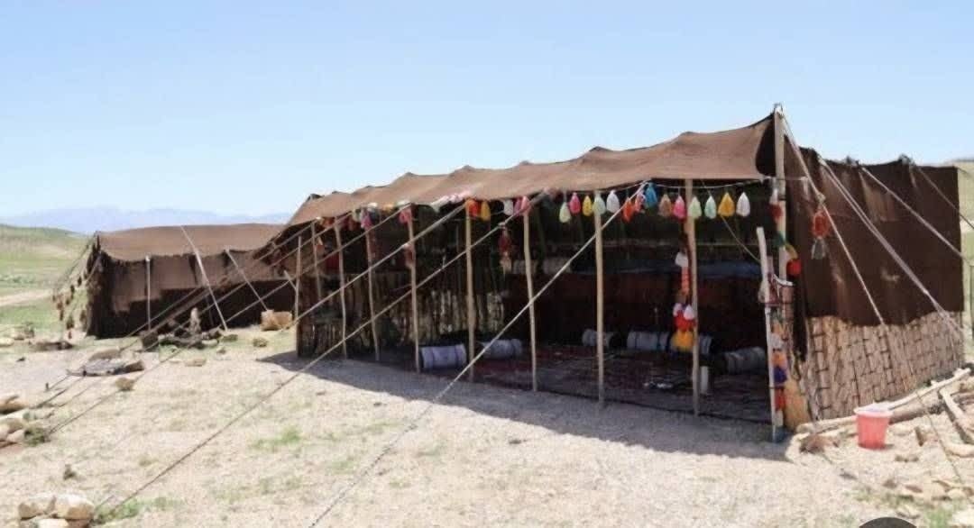 چتر حمایتی کمیته امداد بر سر ۱۹۱ هزار کرمانی؛ از امنیت غذایی تا آیندهنگری در دوران سالمندی