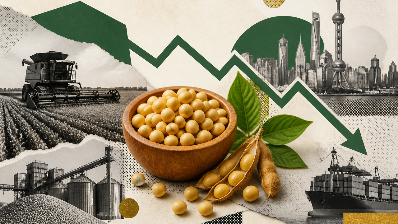 سویا به پایین‌ترین قیمت در ۲ ماه اخیر رسید؛ بازار به تجارت برزیل و چین چشم دوخته است