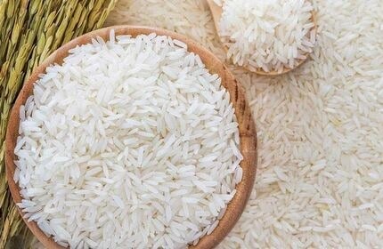 پیشبینی افزایش تولید برنج به بیش از ۲ میلیون تن