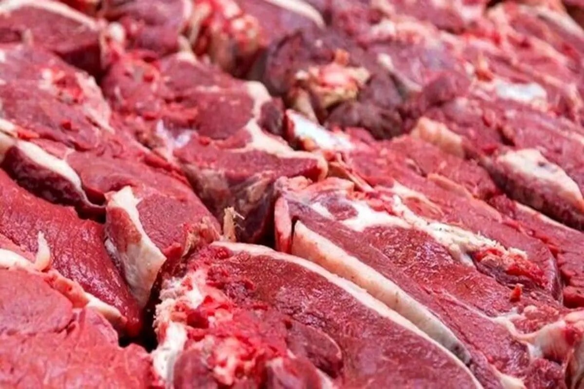 رئیس شورای تأمین دام کشور: قیمت گوشت دستکاری شده یا به عبارتی، قیمتسازی شده