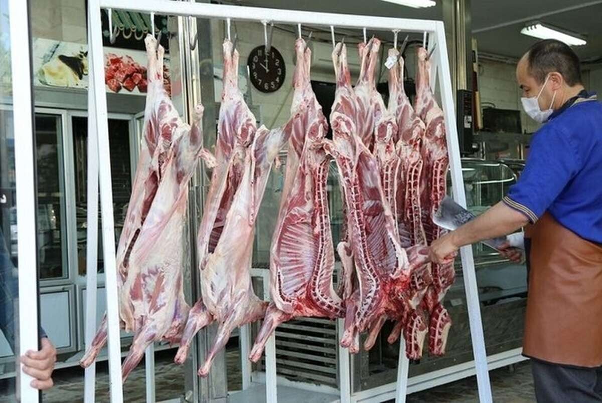 کاهش قیمت دام زنده/چرا گوشت قرمز ارزان نمی‌شود؟