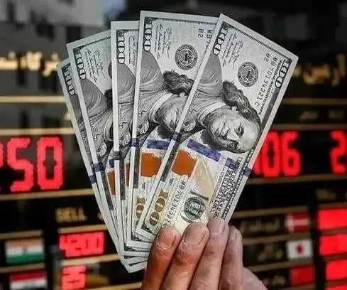 دولت راه خرید دلار برای مردم را باز کرد؛ ماجرای شفافیت ارزی چیست؟