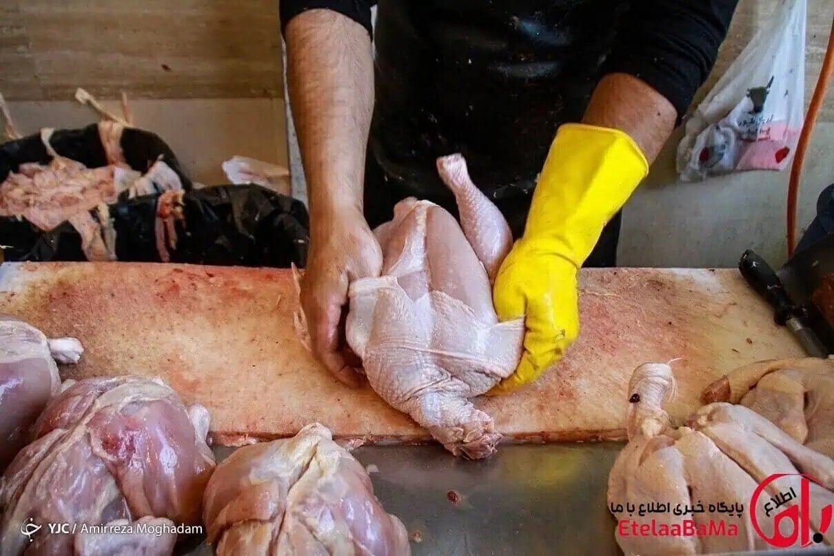 قیمت مرغ امروز؛ فیله مرغ همچنان گرانترین قطعه بازار