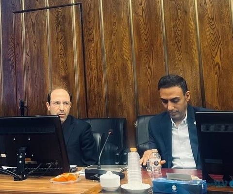 نسخهای واحد برای مشاغل پلتفرمی تجویز نمیشود؛ الزام حمایت متناسب با هر شغل