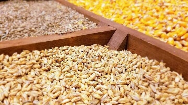 جهش ۹۵ درصدی سود خالص طیور در بهار ۱۴۰۵