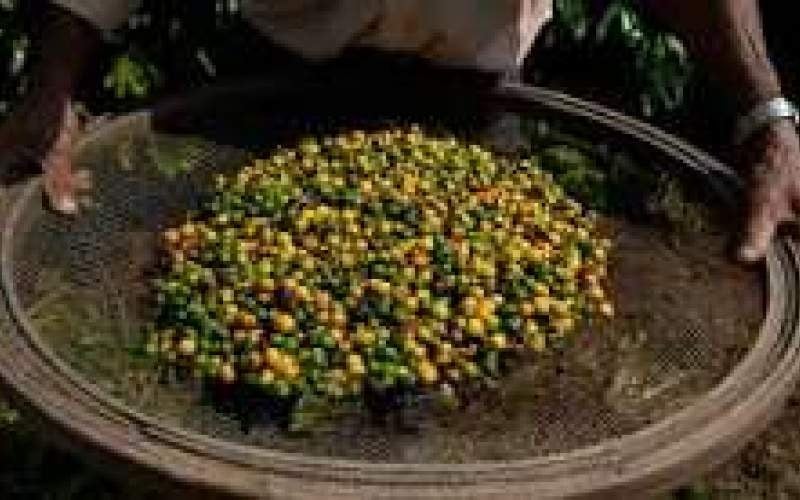 آبوهوای گرمتر کشاورزی را تغییر میدهد