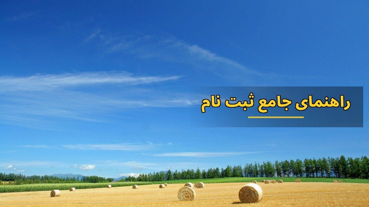 راهنمای جامع ثبتنام بیمه بیکاری ۱۴۰۵؛ از شرایط تا مدارک لازم
