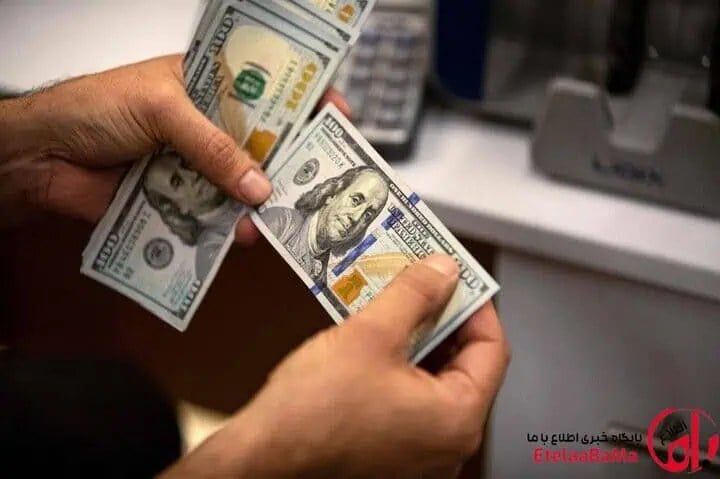 ۱۰ هزار دلار برای هر کد ملی؛ سیاست بانک مرکزی بازار را آرام میکند یا تقاضای دلار را بالا میبرد؟