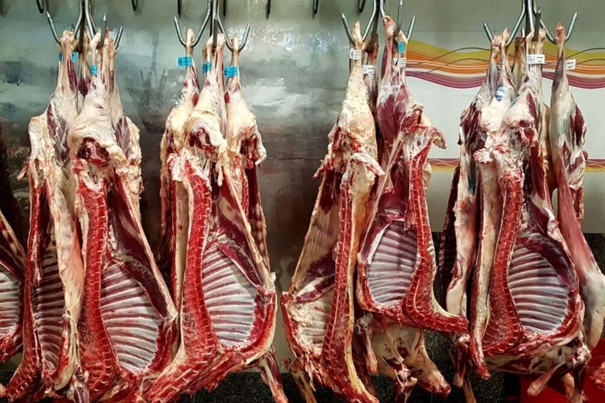 با کالابرگ جدید حتی یک کیلو گوشت هم نمیتوانیم بخریم!