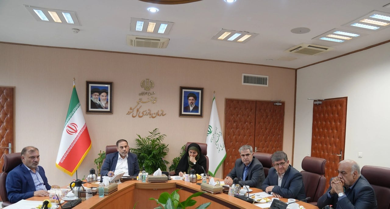 تأکید سازمان بازرسی بر پیگیری مؤثر ساماندهی بازار اجاره