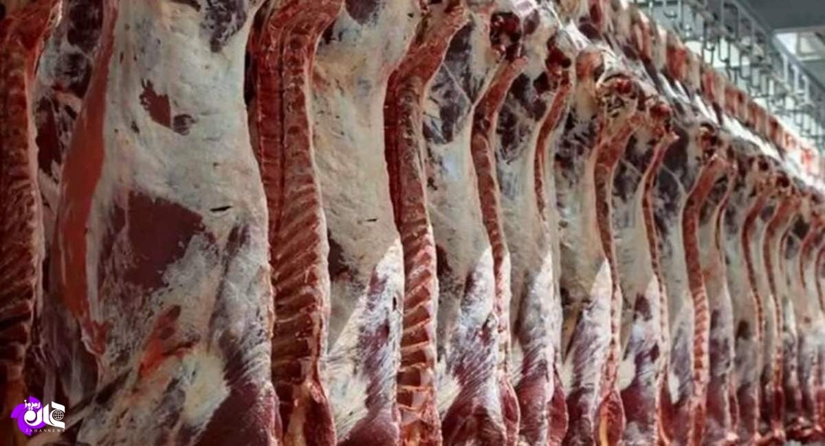 کاهش نیاز به واردات گوشت قرمز با بهبود تولید داخلی